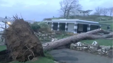 Trees down in Happy Valley in Llandudno