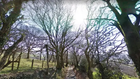 Google maps  Ty Canol Lane