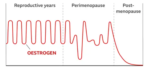 Dr Paula Briggs, Fast facts for Menopause Graphic showing declining levels of oestrogen during the menopause transition
