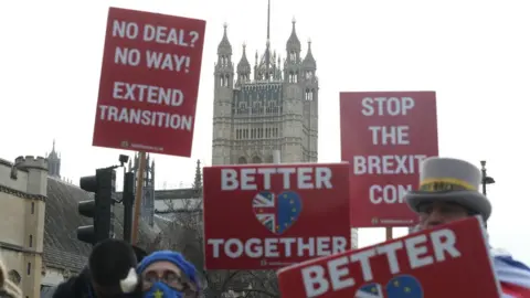 PA Media Pro-EU demonstrators in Westminster on 9 December
