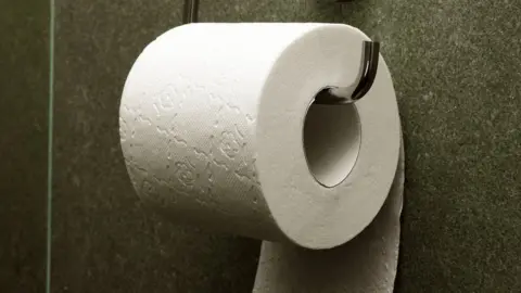 WIKIMEDIA/ELYA Toilet roll
