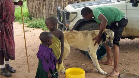 Margaret Roestorf Washing a guard dog