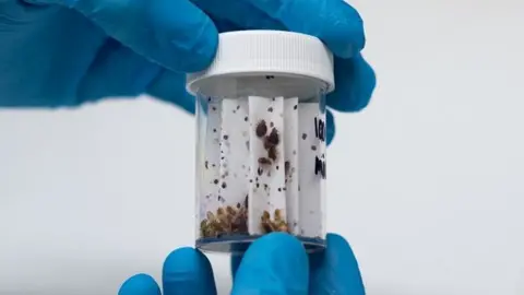 Diana Jarvis Bed bugs