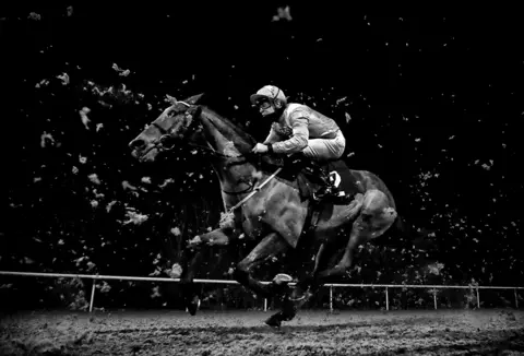 Mike Egerton Goring is ridden by Charles Bishop during the Play 4 to win at Betway Handicap at Wolverhampton Racecourse