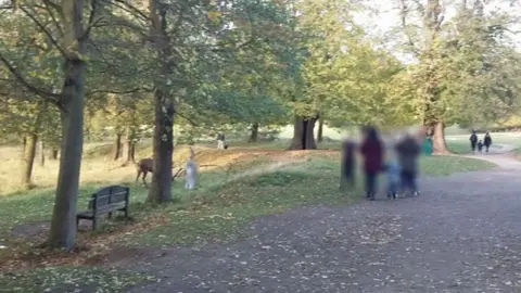 Carole Wilson Boy and family with stag