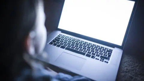 Getty Images A child looking at a laptop screen