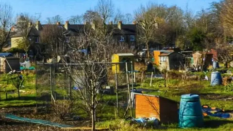 its a Cloud Allotments in Stevenage