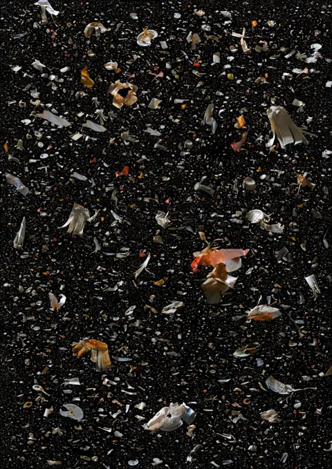 Mandy Barker Collection of marine debris against a dark background