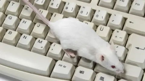 Getty Images Researchers hope mice may be able to hear irregularities the human ear might miss