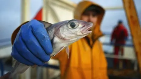 Getty Images Scottish fisherman