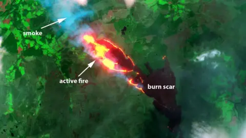 UK National Centre for Earth Observation Satellite image of fire