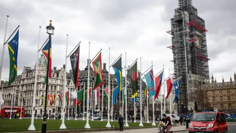 Getty Images Flags of Commonwealth nations flying at Westminster