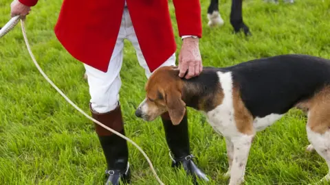 Getty Images Hunter and hound