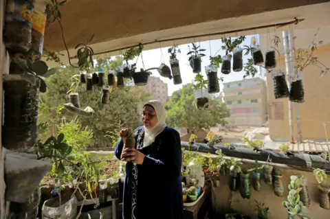 Getty Images A woman grows her balcony inside recycled bottles on November 9, 2022 in Cairo, Egypt. The COP27 climate conference is bringing together political leaders and representatives from 190 countries to discuss climate-related topics including climate change adaptation, climate finance, decarbonisation, agriculture and biodiversity. The conference is running from November 6-18.