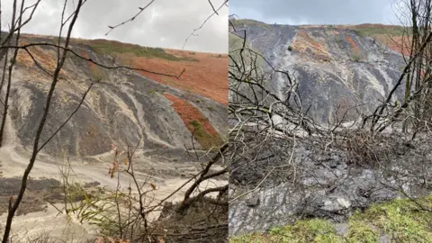 Mariana Phelps  Side-by-side image of the landslide