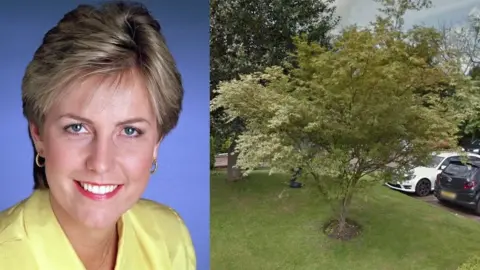BBC / Google Dando / tree