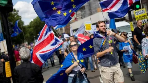 Getty Images Pro-EU campaigners