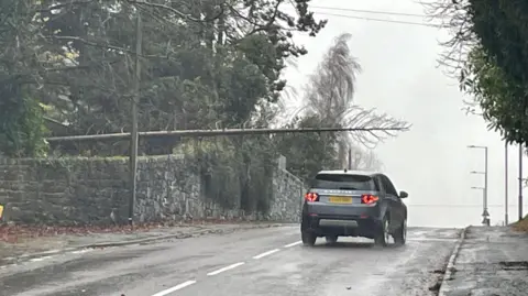 A fallen tree hangs over a wall alongside a main road that a range rover is driving down