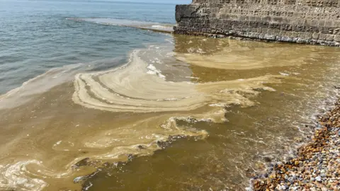 Brown slime floating on sea water beneath a seawall in Brighton