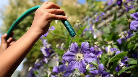 PA Media hose pipe watering flower