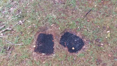 Forestry England Forestry England