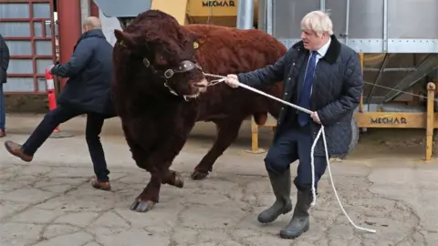 PA Media A bull bumps into a plain clothes police officer (left) while being walked by Prime Minister Boris Johnson during his visit to Darnford Farm in Banchory near Aberdeen