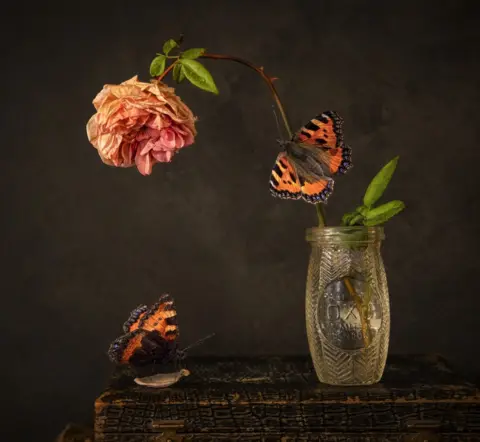 Jane Wiltshire Flowers in a vase with two butterflies on them