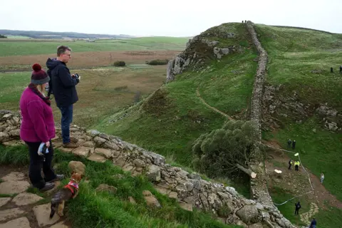Lee Smith / Reuters General view of the Sycamore Gap tree that was felled