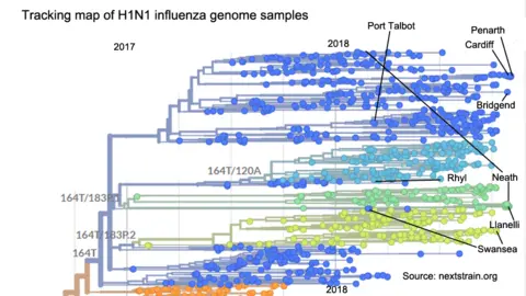 nextstrain.org An example of the flu genome tracker - with the Welsh sample locations marked in