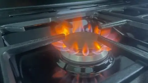 Hydrogen cooker