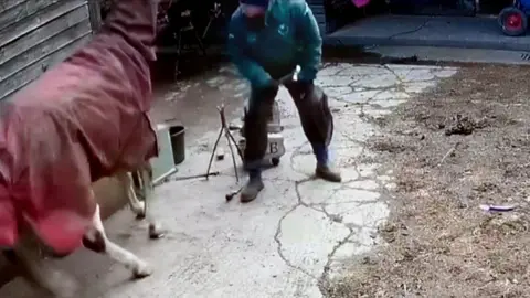 Gloucestershire News Service A horse in a red covering next to a man in a green jacket in a yard