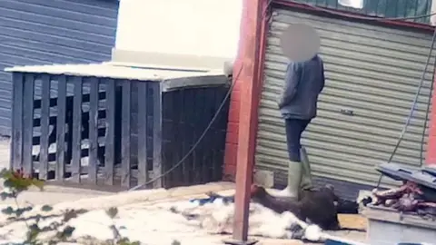 Ecotricity Footage secretly recorded by Ecotricity