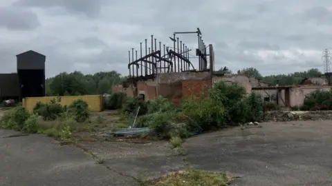 BBC The overgrown and fire-ravaged Fisons warehouse site in Bramford