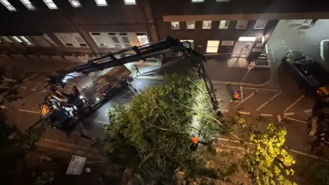 AAA Tree Surgeons A picture taken from above looking down at the fallen tree. There is machinery around the tree. The hospital building is at the top of the image.
