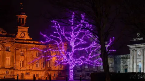 York BID tree lights