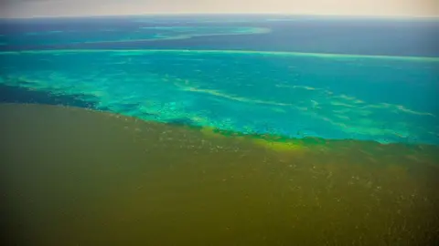 MATT CURNOCK/TROPWATER JCU Fine sediment plumes from the Burdekin River start hit Old Reef