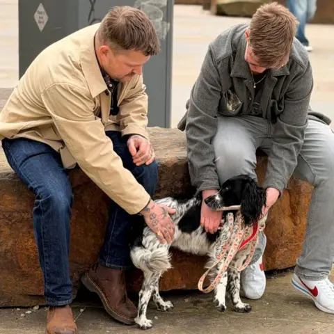 A man and a woman sat on a rock. They are both looking down and stroking a black and white Spaniel.