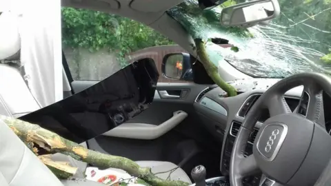 David Gwyer Tree smashed down through car roof