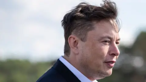 Getty Images Elon Musk