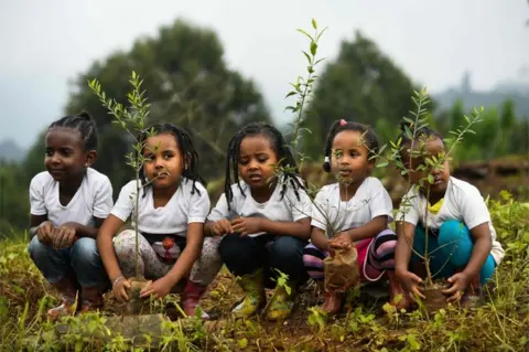 AFP Five girls crouch down ready to plant their saplings in the soil.