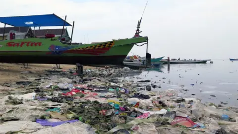 Joleah Lamb Plastic debris on the beach in Sulawesi, Indonesia