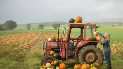 Julie Howden Rebecca McEwen working in her pumpkin patch