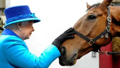 Romsey Show  Queen with horse