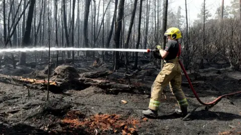 Getty Images Firefighters tackle the blaze at Wareham Forest on May 23, 2020 in Wareham, England