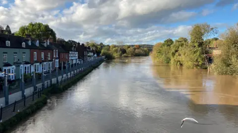 Flood defence protect houses next to the River Severn in Bewdley with high walls and railings on one side of the water. Trees can be seen on the right with some of their trunks underwater at the bottom.