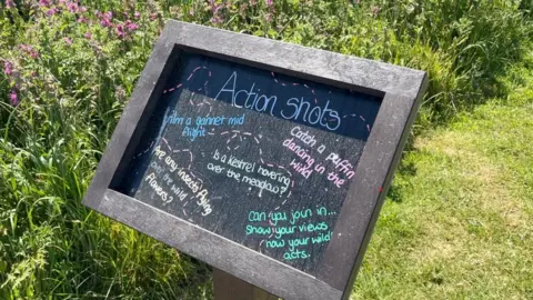 Crispin Rolfe Bempton Cliffs