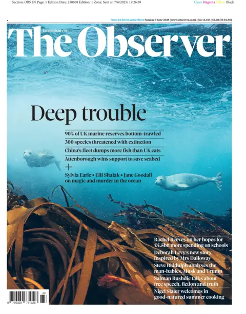 The Observer