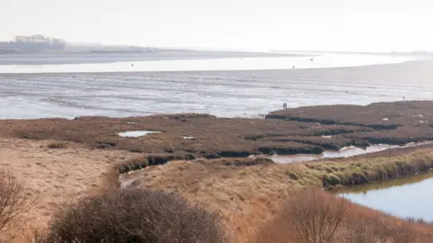 Getty Images Salt marshes at Fingringhoe Wick