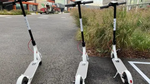 Bird Bird e-scooter