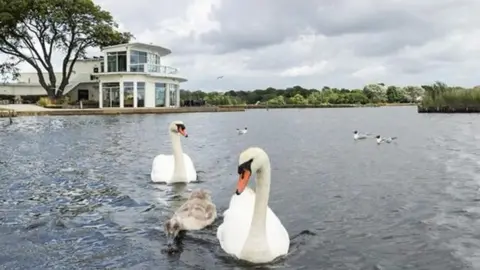 Poole Tourism Poole Park